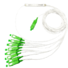 Mini Splitter PLC Óptico 1x8 C/CON. SC/APC